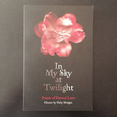 Gaby Morgan - In My Sky at Twilight